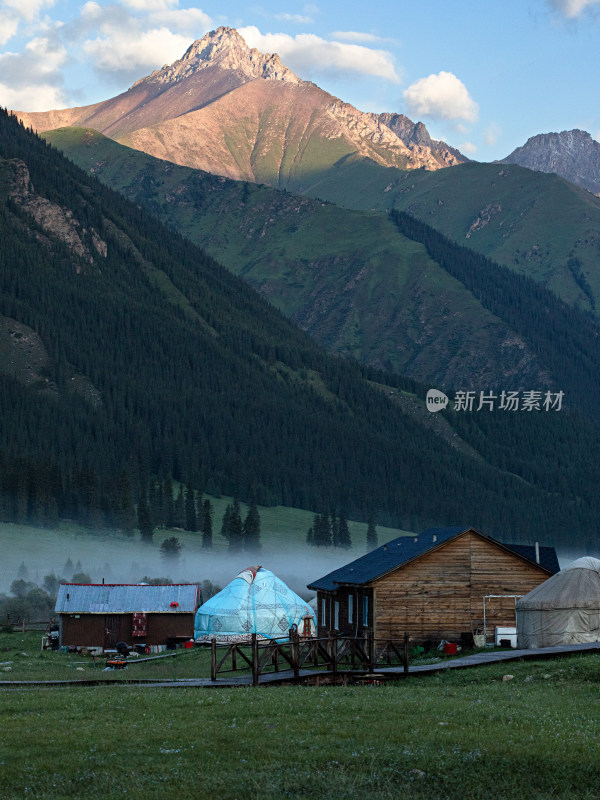 早晨晨雾中的草原森林和蒙古包的自然风景