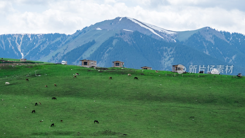 新疆琼库什台雪山下草原上的小木屋