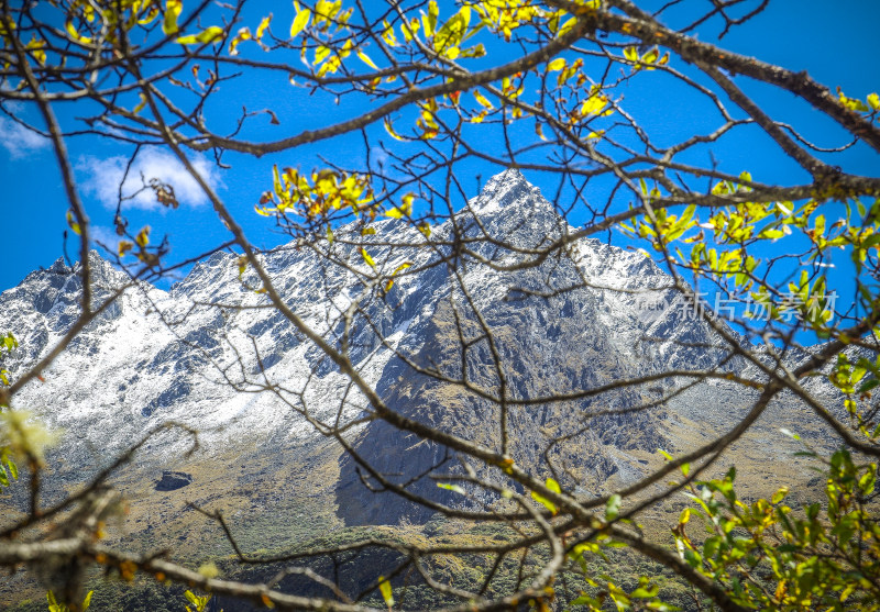 稻城亚丁宏伟雪山风景