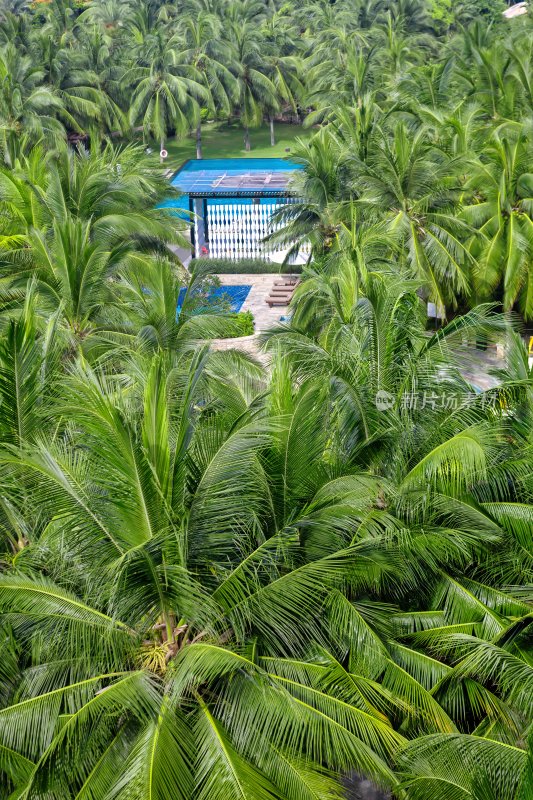 海南省海口鲁能希尔顿酒店的外景和游泳池