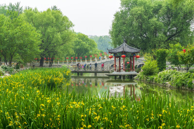 青州范公亭公园夏季风景