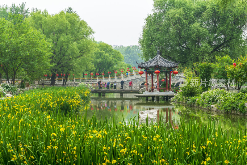 青州范公亭公园夏季风景