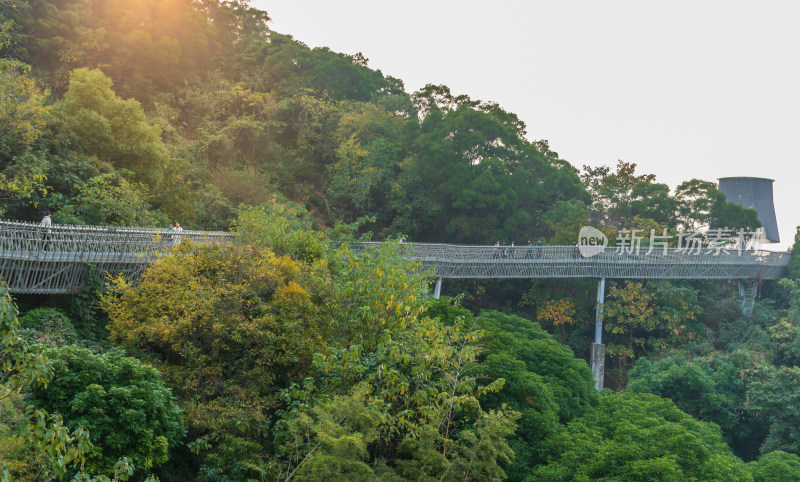 福州福道，一条融合自然与城市风光的步道