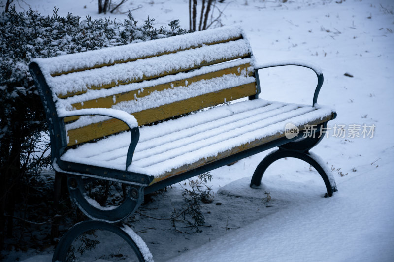 下雪的公园特写景观