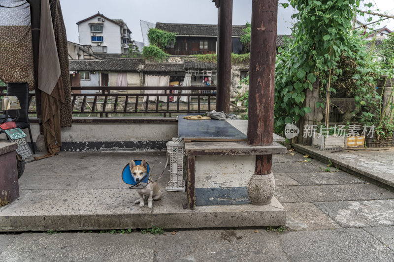 绍兴仓桥直街江南水乡风景