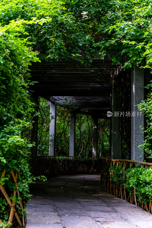 夏天的济南五龙潭公园景观