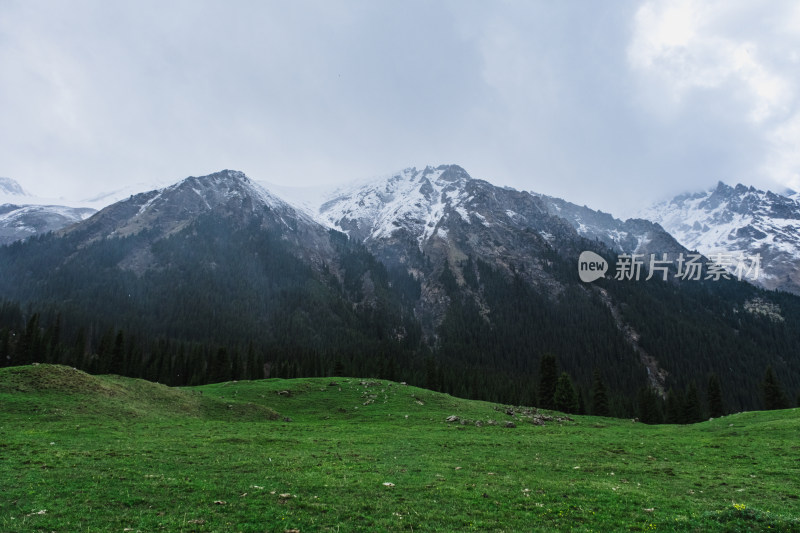 新疆伊犁夏塔雪山森林草原绝美风光