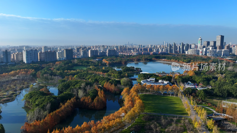 上海世纪公园秋天风景