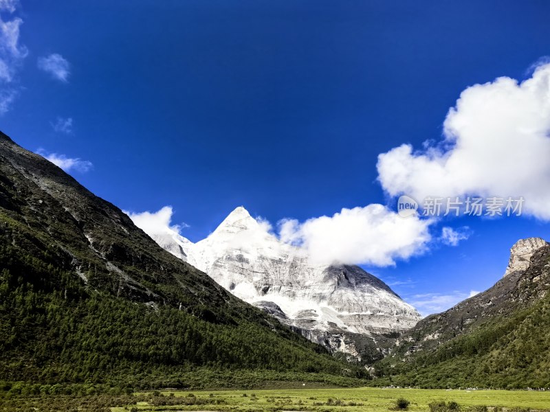 壮丽雪山下植被茂密的山谷风景