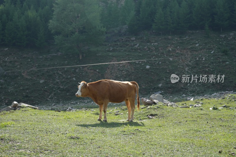 五台山南台风光