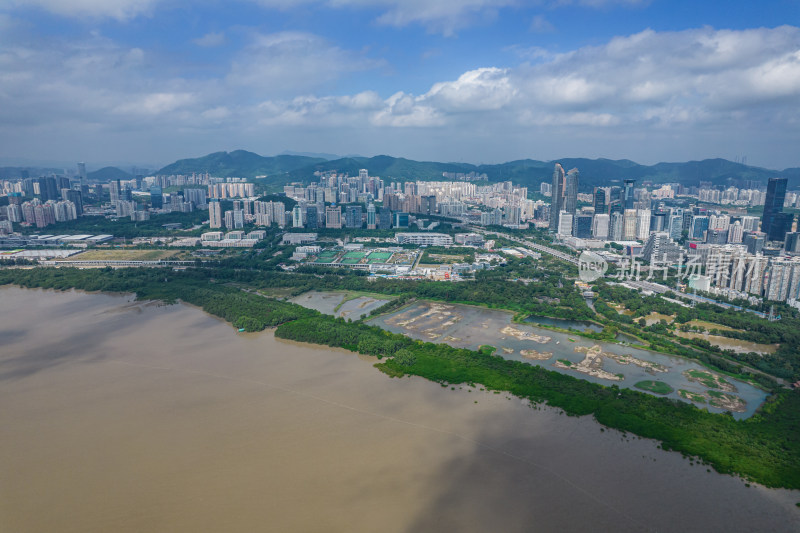 深圳市福田红树林保护区