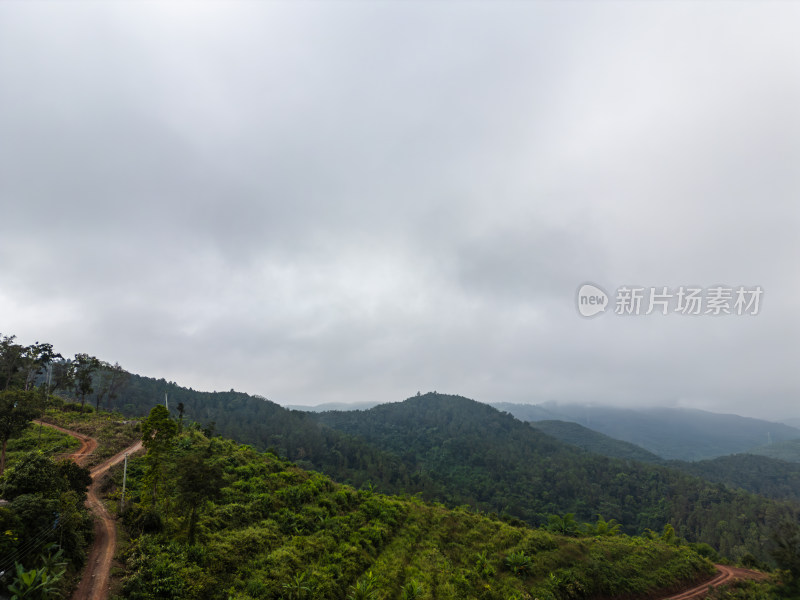 云雾笼罩下的葱郁山林鸟瞰全景