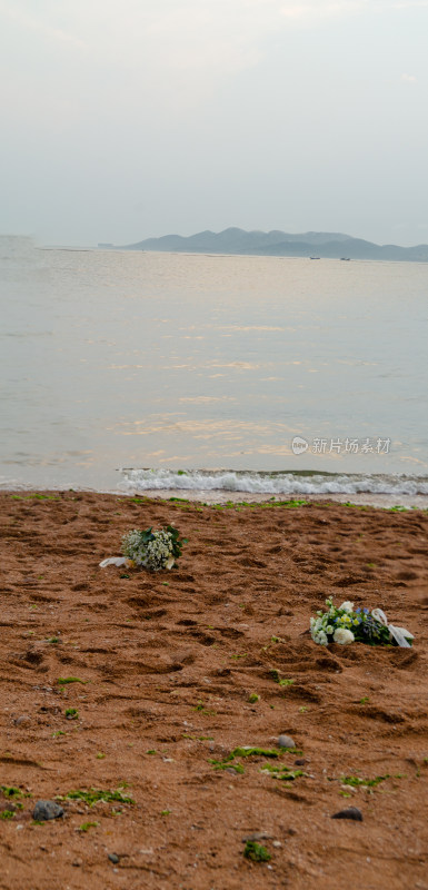 沙滩上的两束鲜花与海景