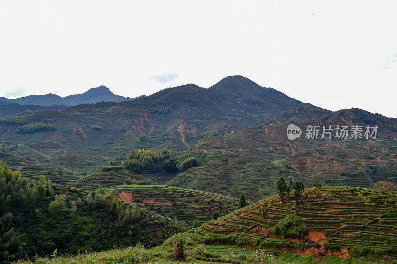 山林间的村庄全景