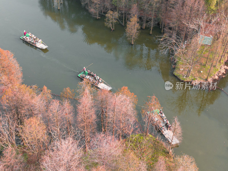 航拍苏州常熟尚湖风景区水杉林与竹筏