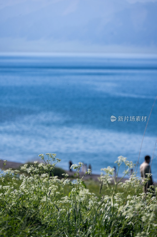 新疆赛里木湖