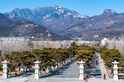 山东泰安岱庙景观岱庙看泰山