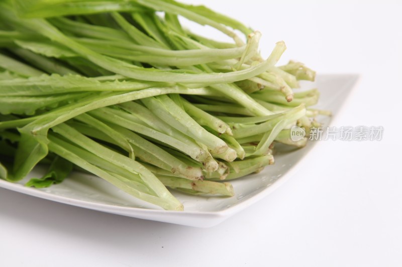 新鲜油麦菜