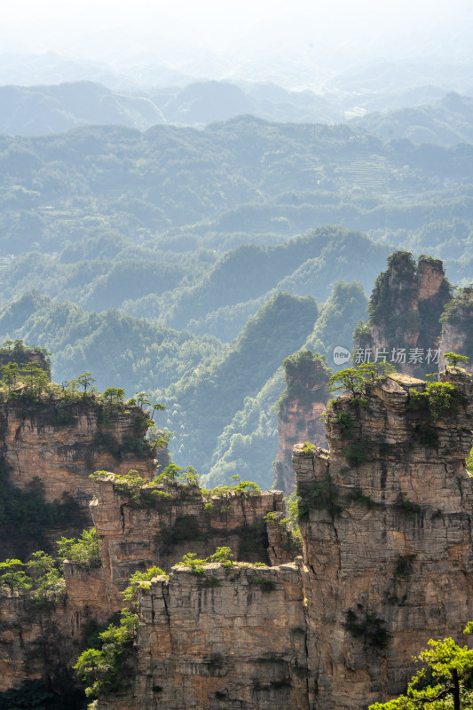 中国湖南张家界景区奇特山峰与茂密森林