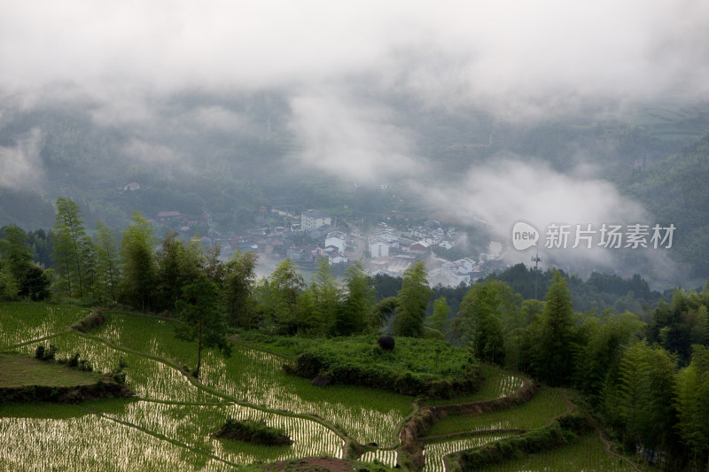 乡村小景丽水