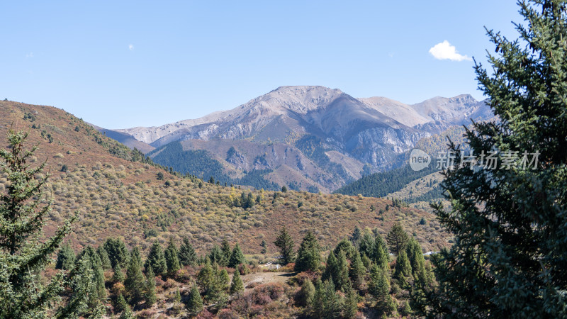 从黄龙九寨站前往九寨沟的大巴窗外风景