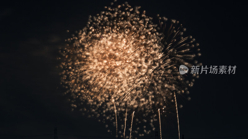 绚烂烟花在夜空中绽放的美丽景象