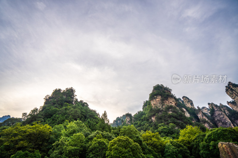 中国湖南张家界景区奇特山峰与茂密森林