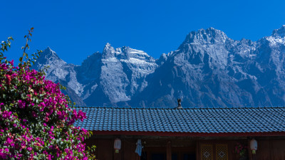 虎跳峡风景