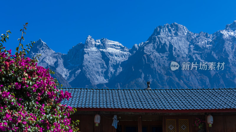 虎跳峡风景