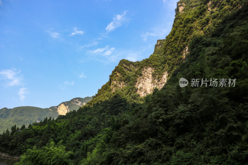 湖北宜昌三峡竹海风景区，自然风光，竹海