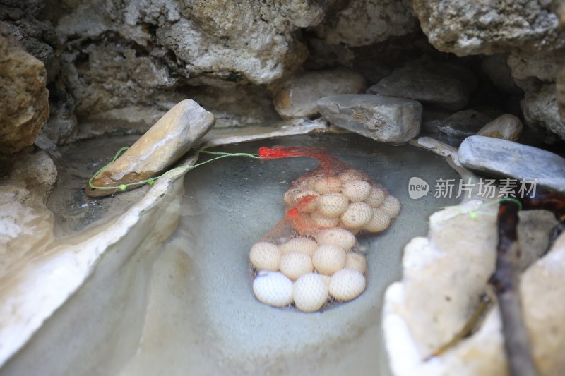 云南保山鸡飞温泉