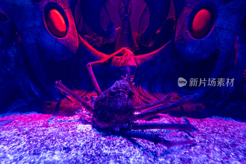 亚特兰蒂斯酒店水族馆