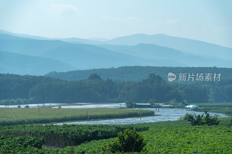 农业田顶天景观