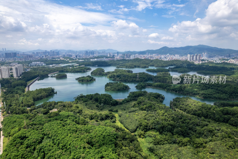 深圳龙华区茜坑水库