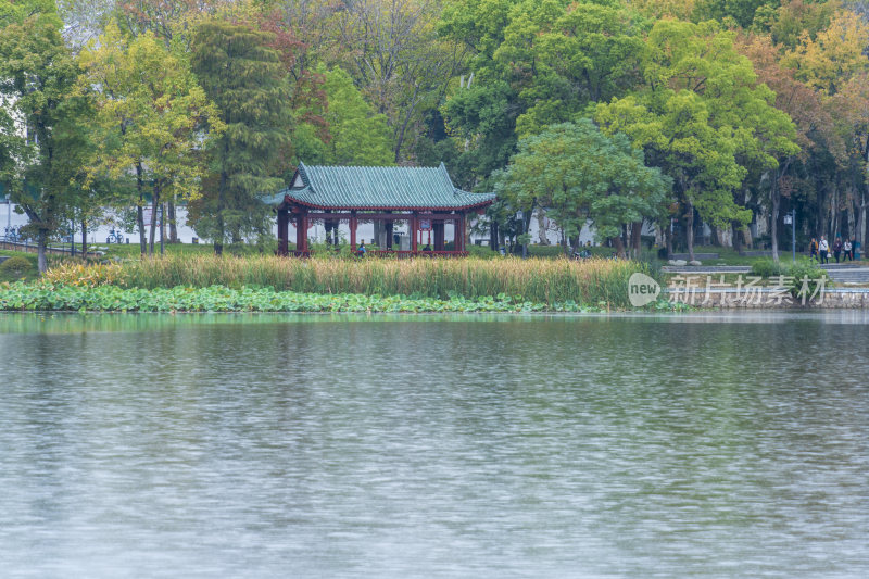 武汉东湖国家湿地公园风光