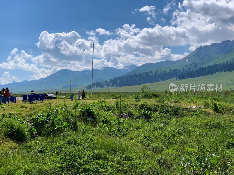 中国新疆伊犁那拉提草原夏季旅游风光