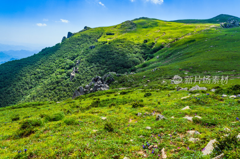 夏季蓝天白云绿色高山草甸群山大气风光