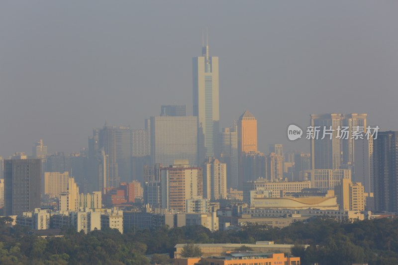 雾中城市高楼建筑群景观