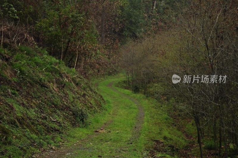 长沙风光  长沙街景 长沙城景  自然风景