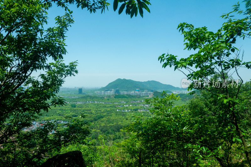 山中的自然风景