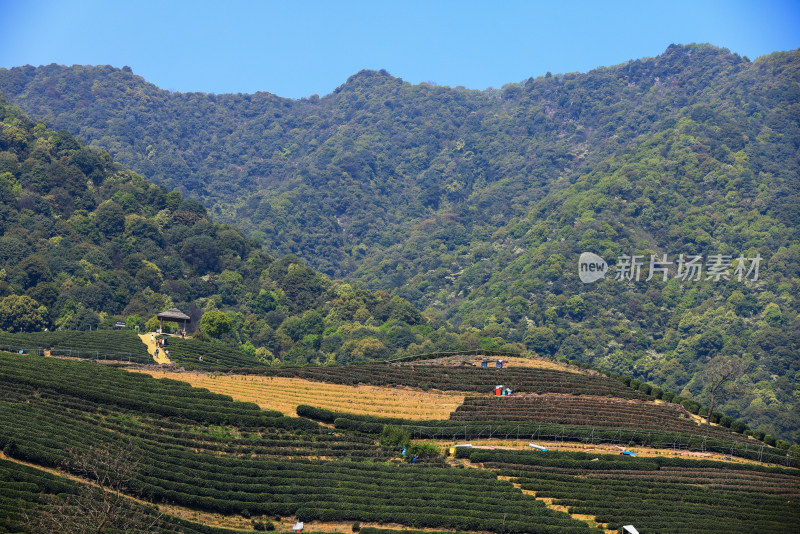 中国杭州龙坞蓝天下的低角度山景