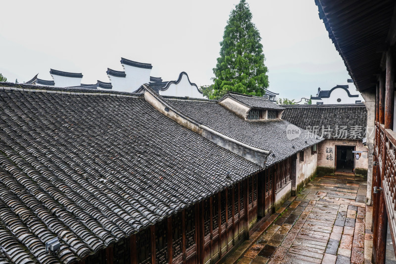 梅雨季的乌镇西栅美景