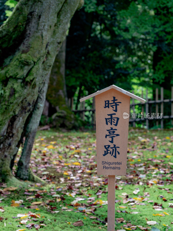 日式庭院 金泽兼六园