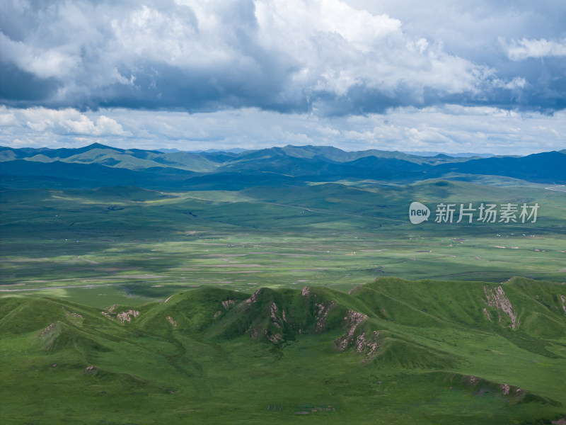 黄河草原湿地