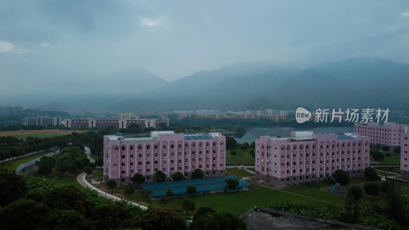 仰恩大学