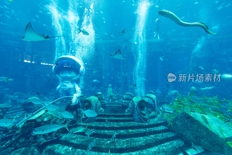 亚特兰蒂斯酒店水族馆