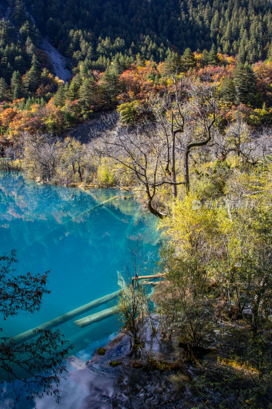 九寨沟秋色，平静蓝色水面与山林秋叶