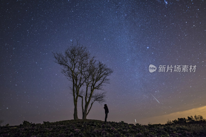 夜晚单人观星与树的场景