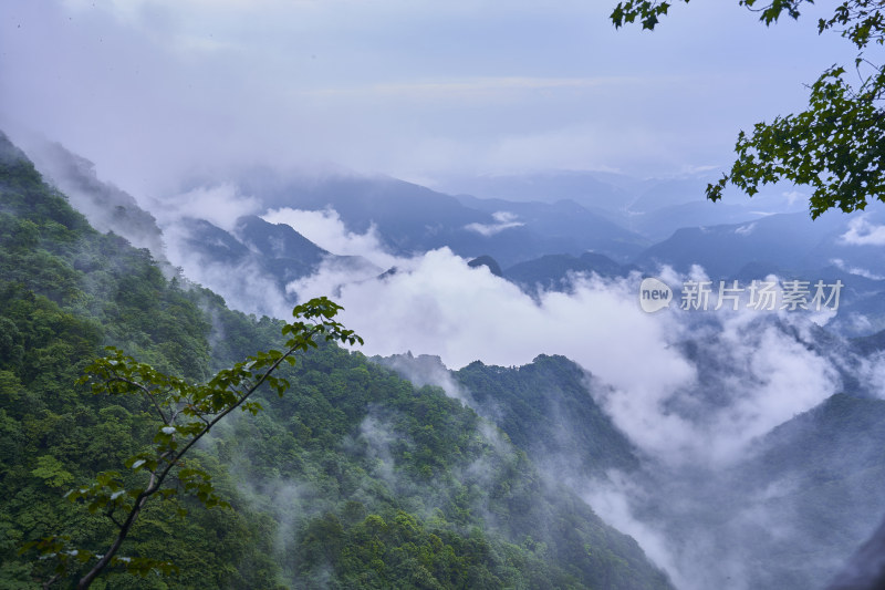 云雾缭绕的金佛山