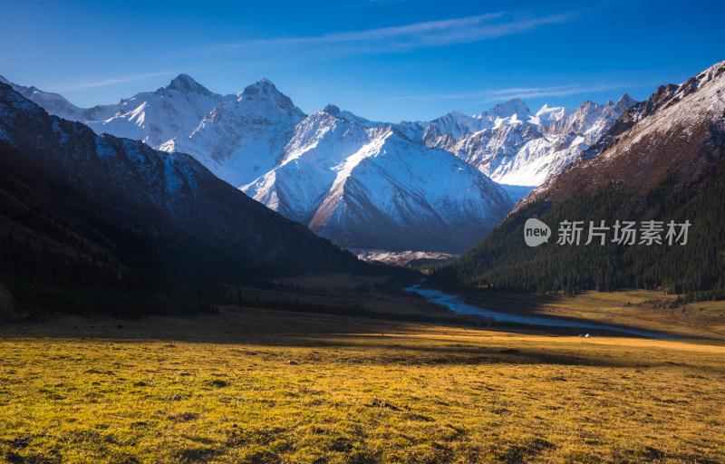 新疆夏塔草原阳光自然风景